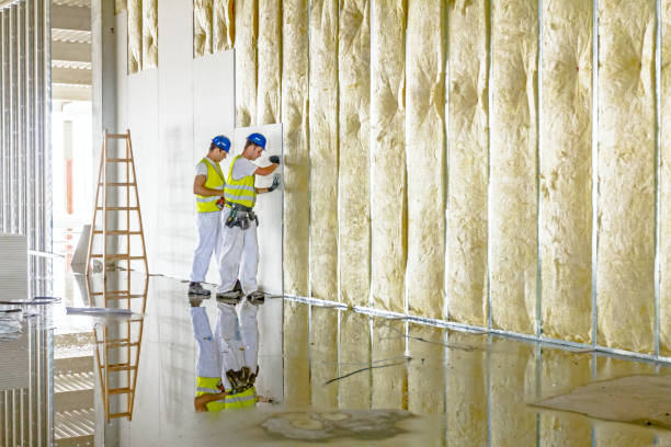 Professional Insulation Installation & Removal in Claypool, AZ